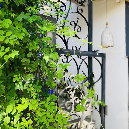 Apartamento Casa Elsa Pipa Praia de Pipa Exterior foto